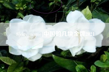孟州中国的几块金牌2021