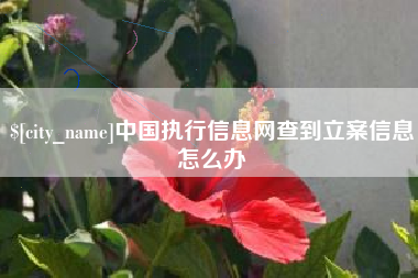 孟州中国执行信息网查到立案信息怎么办