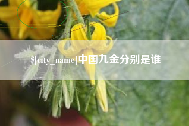 孟州中国九金分别是谁
