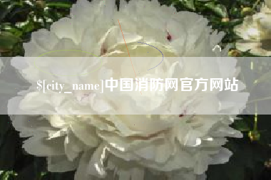 孟州中国消防网官方网站