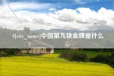 孟州中国第九块金牌是什么