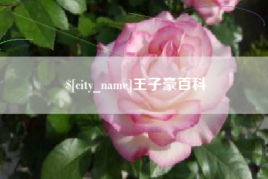 孟州王子豪百科