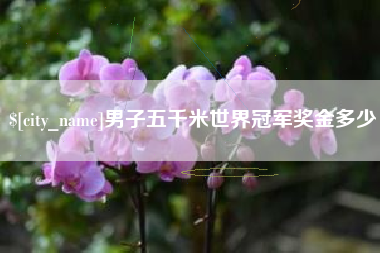 孟州男子五千米世界冠军奖金多少
