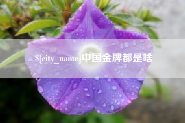 孟州中国金牌都是啥