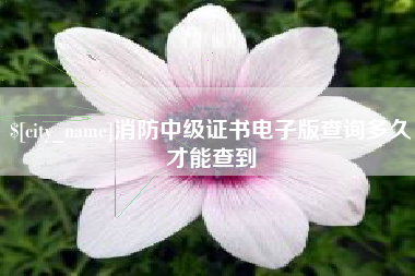孟州消防中级证书电子版查询多久才能查到