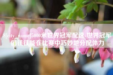孟州5000米世界冠军配速-世界冠军们往往能在比赛中巧妙地分配体力