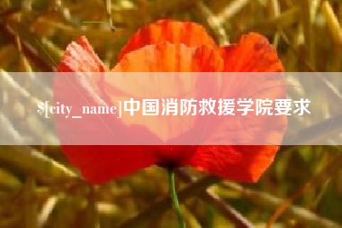 孟州中国消防救援学院要求