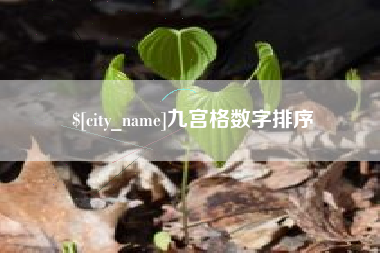 孟州九宫格数字排序