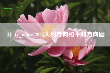孟州2025大利方向和不利方向图