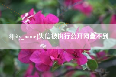 孟州失信被执行公开网查不到