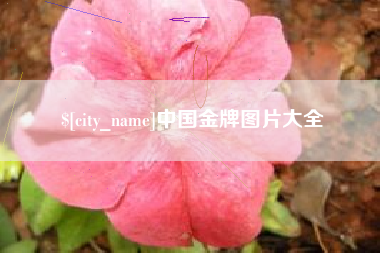 孟州中国金牌图片大全
