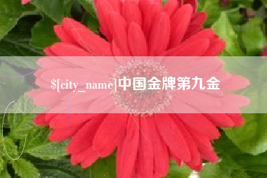 孟州中国金牌第九金