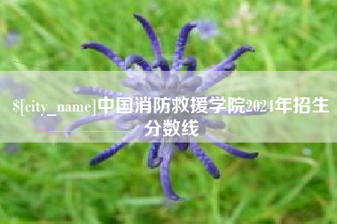 孟州中国消防救援学院2024年招生分数线