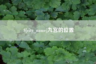 孟州九宫的位置