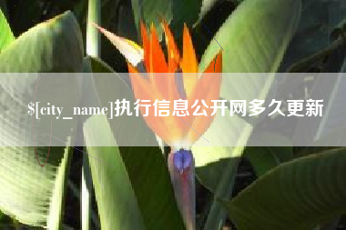 孟州执行信息公开网多久更新