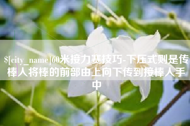孟州60米接力赛技巧-下压式则是传棒人将棒的前部由上向下传到接棒人手中