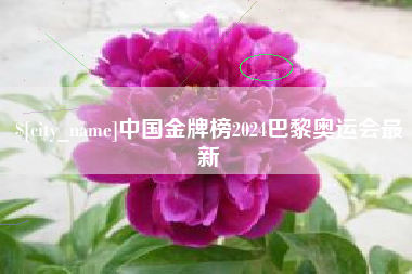 孟州中国金牌榜2024巴黎奥运会最新