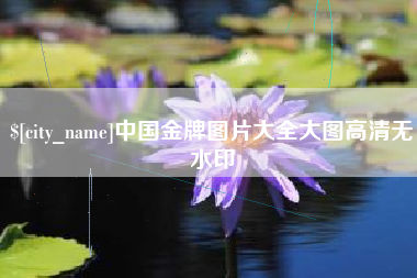 孟州中国金牌图片大全大图高清无水印