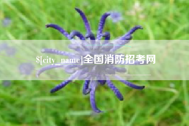 孟州全国消防招考网
