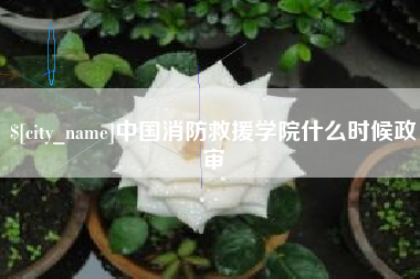 孟州中国消防救援学院什么时候政审