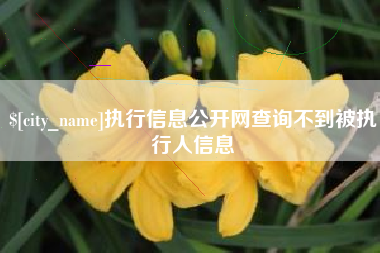 孟州执行信息公开网查询不到被执行人信息
