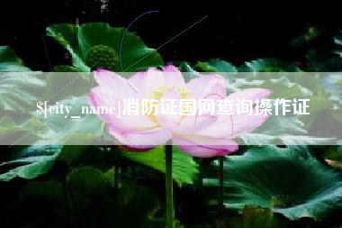 孟州消防证国网查询操作证