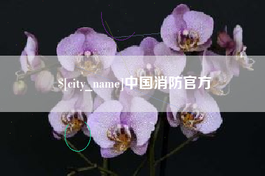孟州中国消防官方
