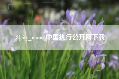 孟州中国执行公开网下载