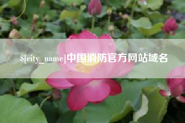 孟州中国消防官方网站域名