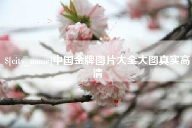 孟州中国金牌图片大全大图真实高清
