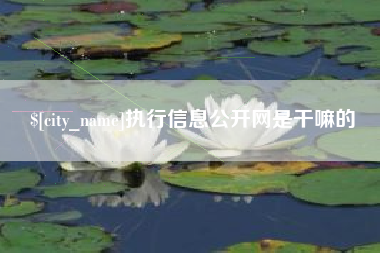 孟州执行信息公开网是干嘛的