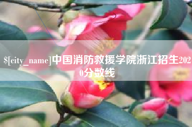 孟州中国消防救援学院浙江招生2020分数线