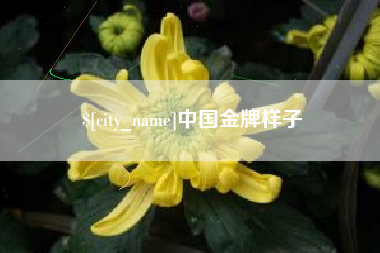 孟州中国金牌样子