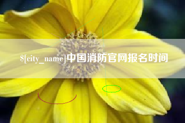 孟州中国消防官网报名时间