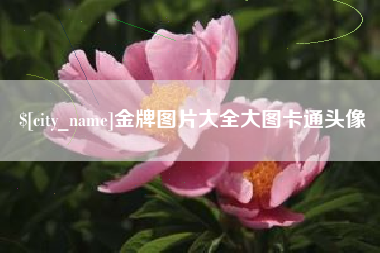 孟州金牌图片大全大图卡通头像