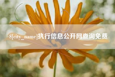 孟州执行信息公开网查询免费