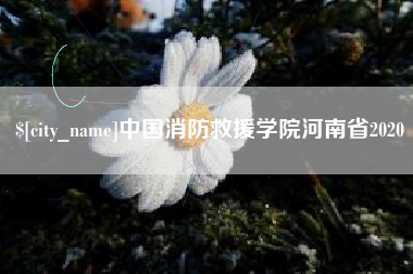 孟州中国消防救援学院河南省2020